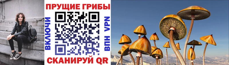 Псилоцибиновые грибы Magic Shrooms  Калтан 